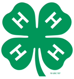 curry county 4-h