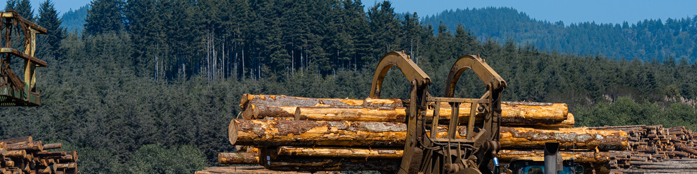 logs being picked up for loading