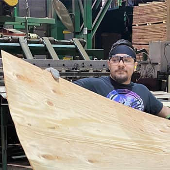 plywood employee