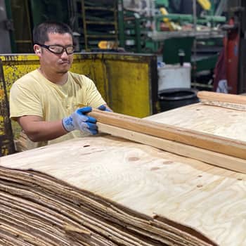 plywood employee